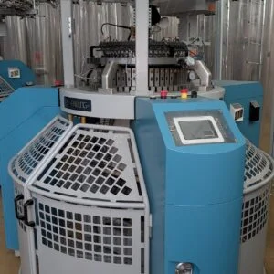 Pai lung body size
